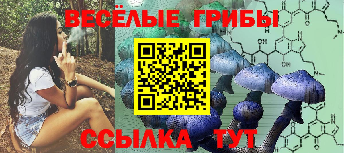 Псилоцибиновые грибы мухоморы Новороссийск