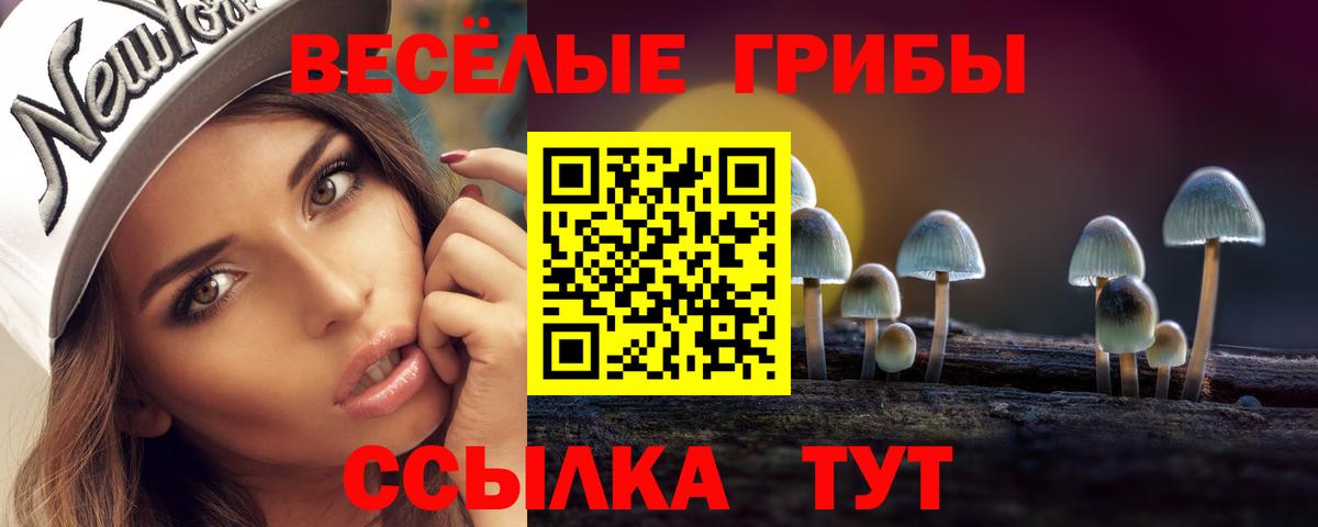 Псилоцибиновые грибы GOLDEN TEACHER  Вход с VPN  Новороссийск  Псилоцибиновые грибы Psilocybine cubensis 